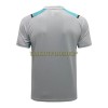 Manchester City Trainingsshirts Suit 2022-23 Hellgraue Für Herren